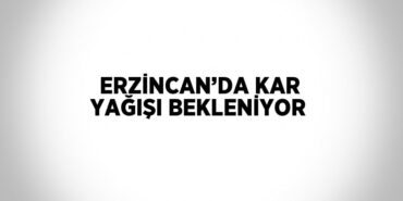 21531281542943621738tasarimli