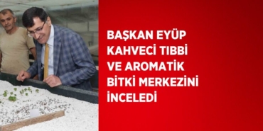 21532269353182825281