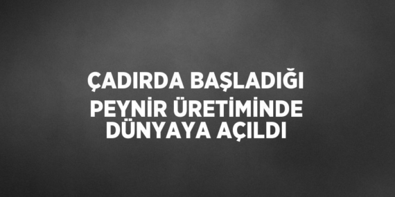 ÇADIRDA BAŞLADIĞI PEYNİR ÜRETİMİNDE DÜNYAYA AÇILDI