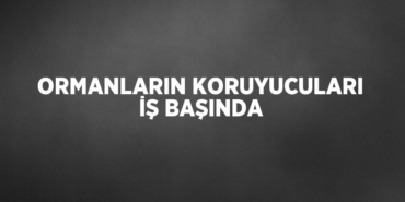 21542271732683430369tasarimli