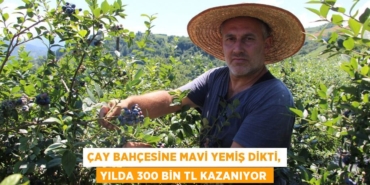 21548308432025930352tasarimli