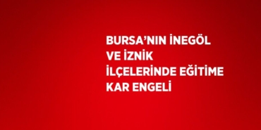 21554289662116330203