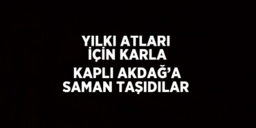 21558202722794127104tasarimli