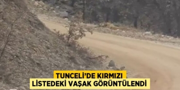 21559314252413130889tasarimli