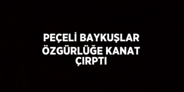 21562253712022831728tasarimli