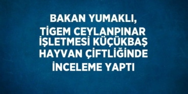 21566220372942129847tasarimli