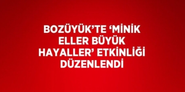 21574309933185028503tasarimli