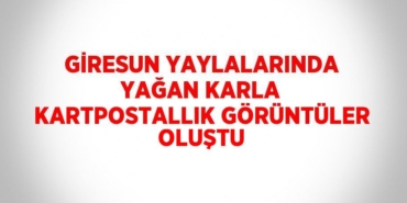 21585205882214721103tasarimli