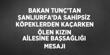 21588311973059528075tasarimli