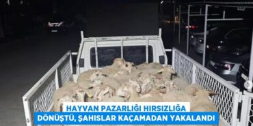 21591203072267228281tasarimli