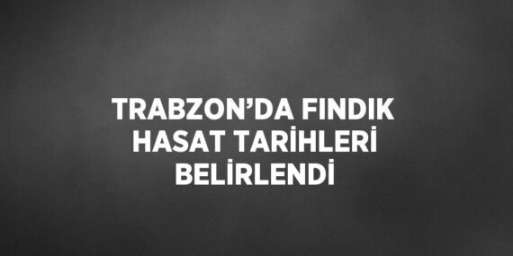 TRABZON’DA FINDIK HASAT TARİHLERİ BELİRLENDİ