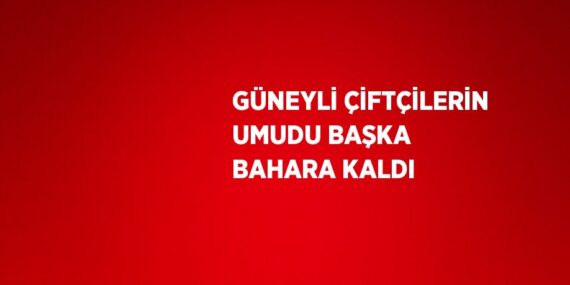 GÜNEYLİ ÇİFTÇİLERİN UMUDU BAŞKA BAHARA KALDI