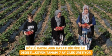 21594211722993030328tasarimli