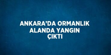 21597319142129528991tasarimli