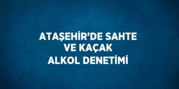 21604219682810326500tasarimli