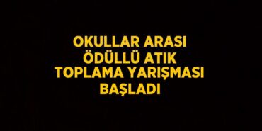 21609298003081023972tasarimli