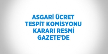 21617268942086626125tasarimli