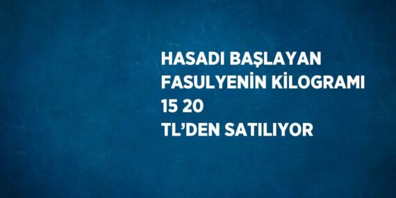 HASADI BAŞLAYAN FASULYENİN KİLOGRAMI 15 20 TL’DEN SATILIYOR