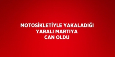 21635222362555625964tasarimli