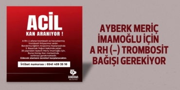 21643208062536023974