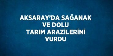 21652315992497728267tasarimli