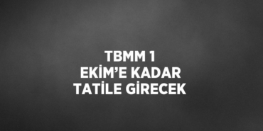 21655208693164630233tasarimli