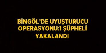 21661240292596226447tasarimli