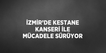 21662316233012126307tasarimli