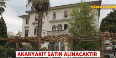 21664244222763528960