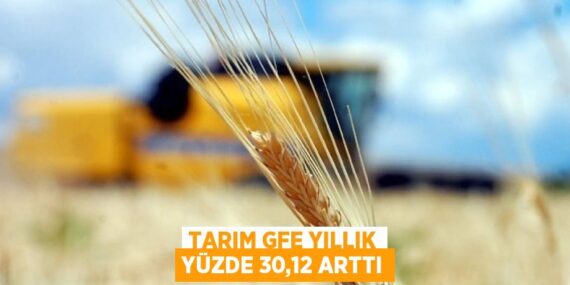 TARIM GFE YILLIK YÜZDE 30,12 ARTTI