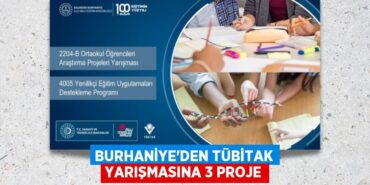 21667205202215129256tasarimli