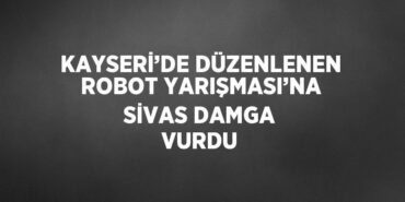 21667314052312223302tasarimli