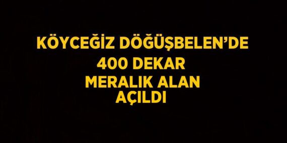 KÖYCEĞİZ DÖĞÜŞBELEN’DE 400 DEKAR MERALIK ALAN AÇILDI