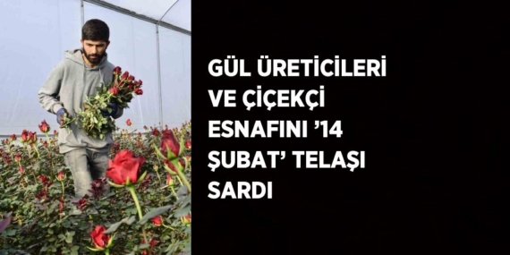 GÜL ÜRETİCİLERİ VE ÇİÇEKÇİ ESNAFINI ’14 ŞUBAT’ TELAŞI SARDI