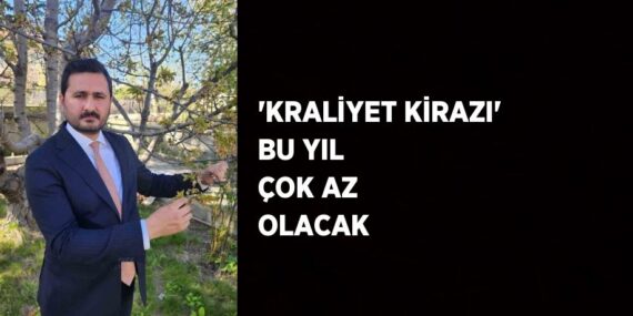‘KRALİYET KİRAZI’ BU YIL ÇOK AZ OLACAK