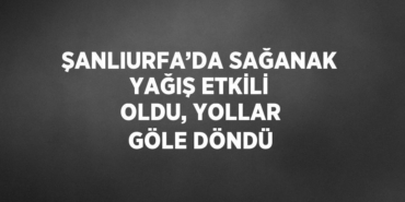 21685287312839922381tasarimli
