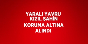 21692267982160530453tasarimli