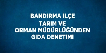 21694311823152131091tasarimli