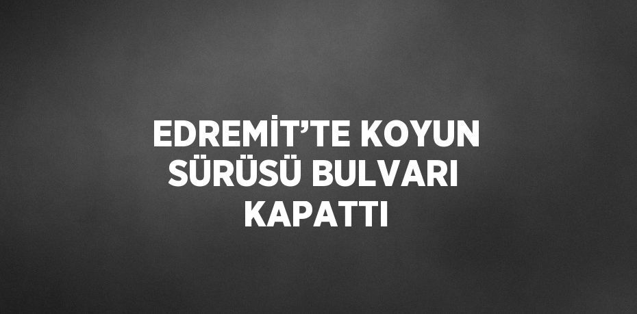 21698284842965029812tasarimli