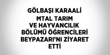 21702306392009625824tasarimli