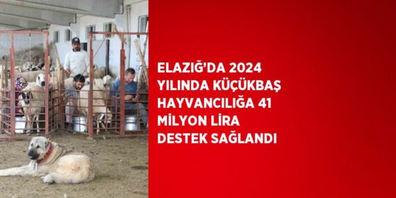 ELAZIĞ’DA 2024 YILINDA KÜÇÜKBAŞ HAYVANCILIĞA 41 MİLYON LİRA DESTEK SAĞLANDI