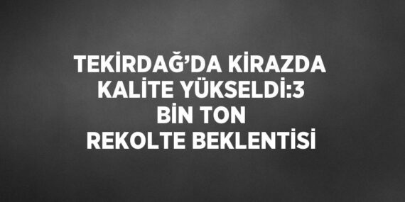 TEKİRDAĞ’DA KİRAZDA KALİTE YÜKSELDİ:3 BİN TON REKOLTE BEKLENTİSİ