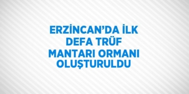 21719218662047522043tasarimli