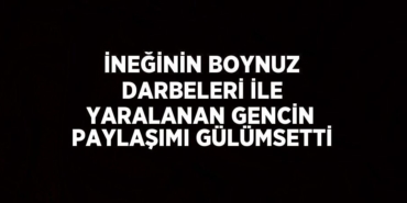 21723264092706723808tasarimli