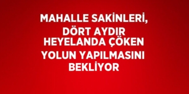 21726228212222020387tasarimli