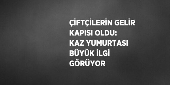 ÇİFTÇİLERİN GELİR KAPISI OLDU: KAZ YUMURTASI BÜYÜK İLGİ GÖRÜYOR