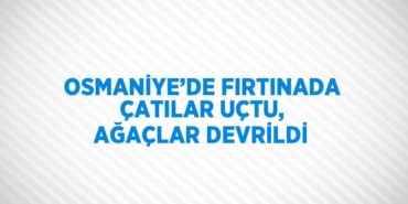 21736291522597927409tasarimli