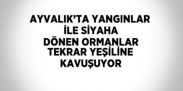 21747214702911725301tasarimli