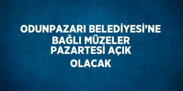 21750257822787827311tasarimli