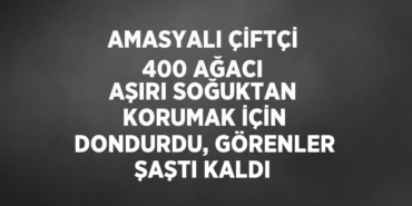 21754278832584624170tasarimli